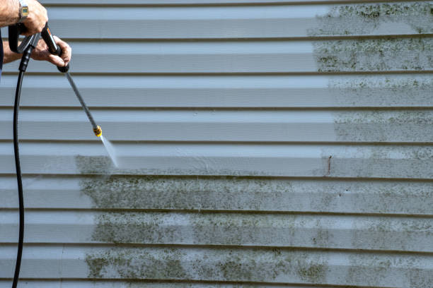 Best Shed Removal  in Auberry, CA