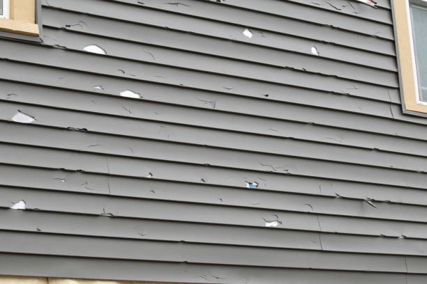Best Construction Debris Removal  in Auberry, CA